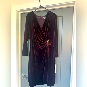 Calvin Klein velvet dress